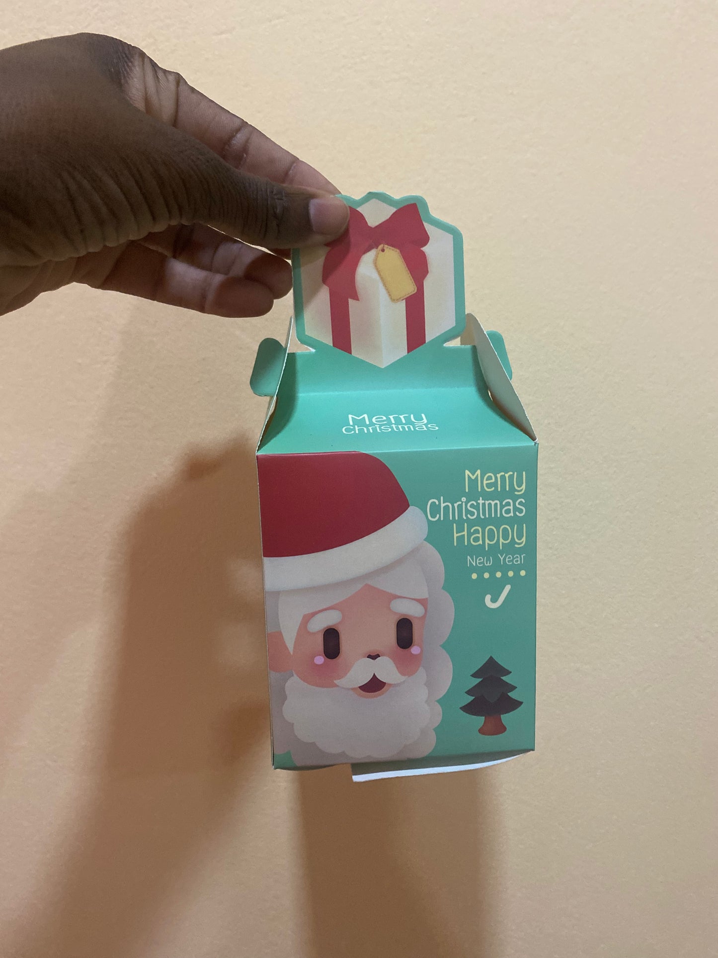 Christmas treat box